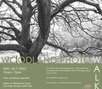Lian Chan Photo Walk Poster